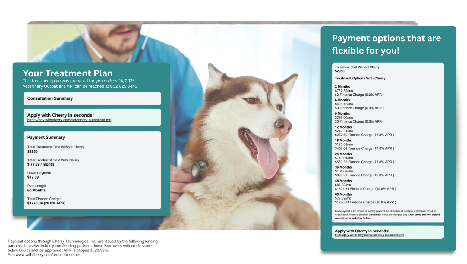 Veterinary Outpatient MRI Cherry options-1