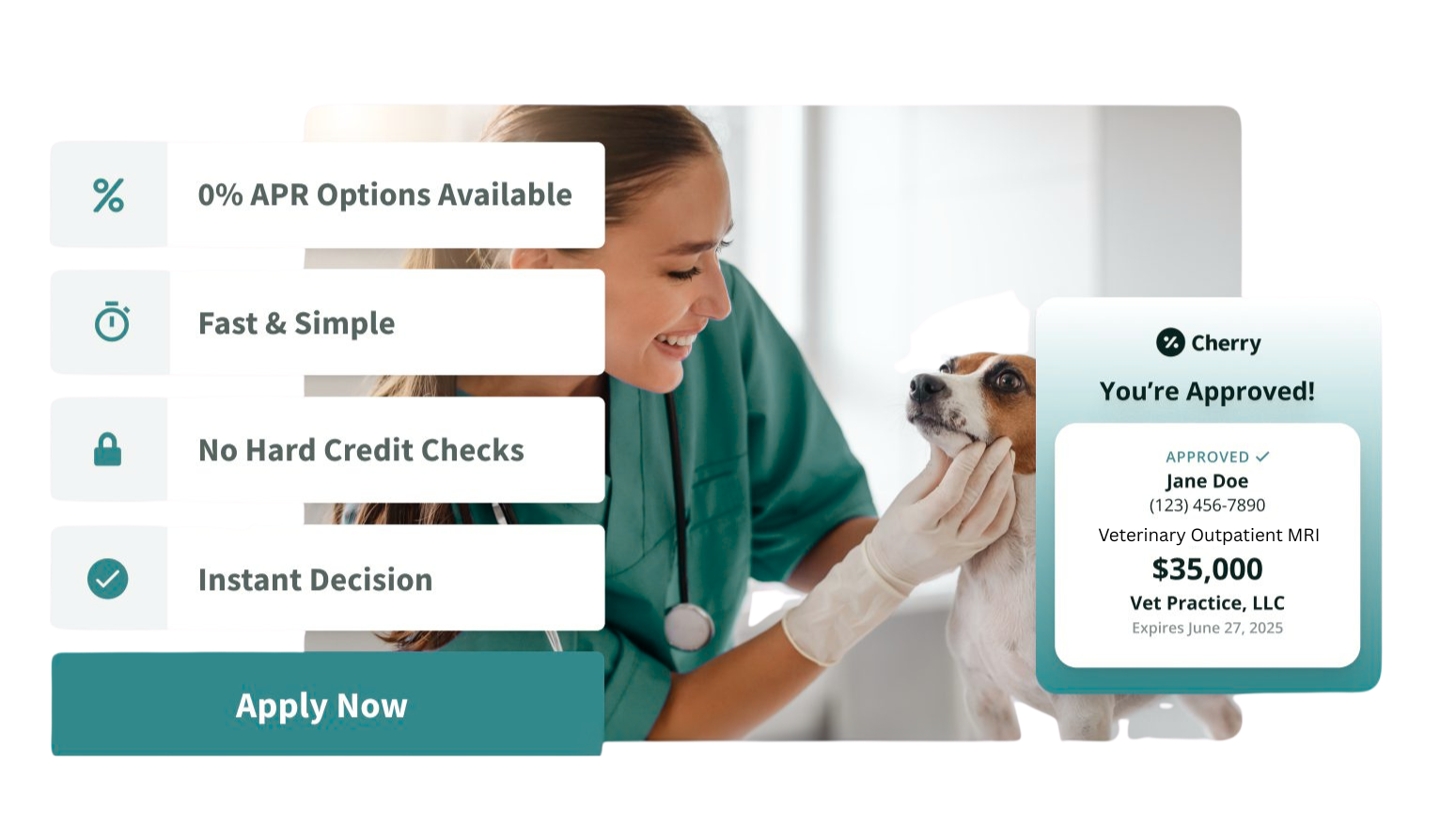 Veterinary Outpatient MRI Cherry